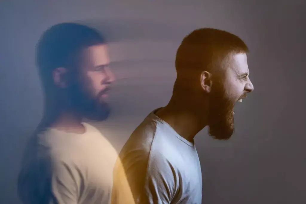 What Is the Difference Between Bipolar 1 and Bipolar 2? 3 What Is the Difference Between Bipolar 1 and Bipolar 2?