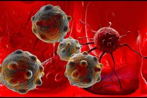 Rosy Periwinkle: The Plant That Fights Cancer