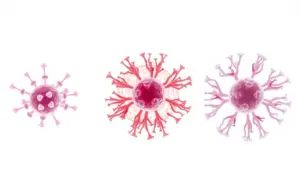 image 1 3412 LIV Hospital