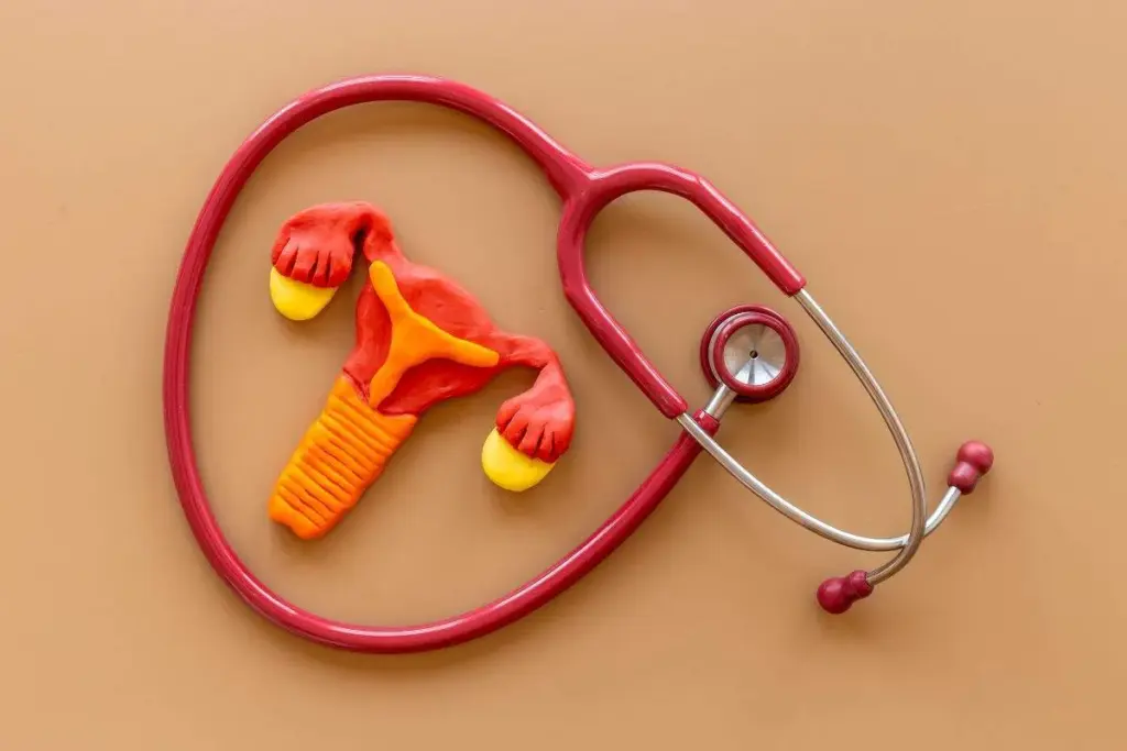 Cervicitis Symptoms: Heal Your Cervix Fast 3 Cervicitis Symptoms: Heal Your Cervix Fast