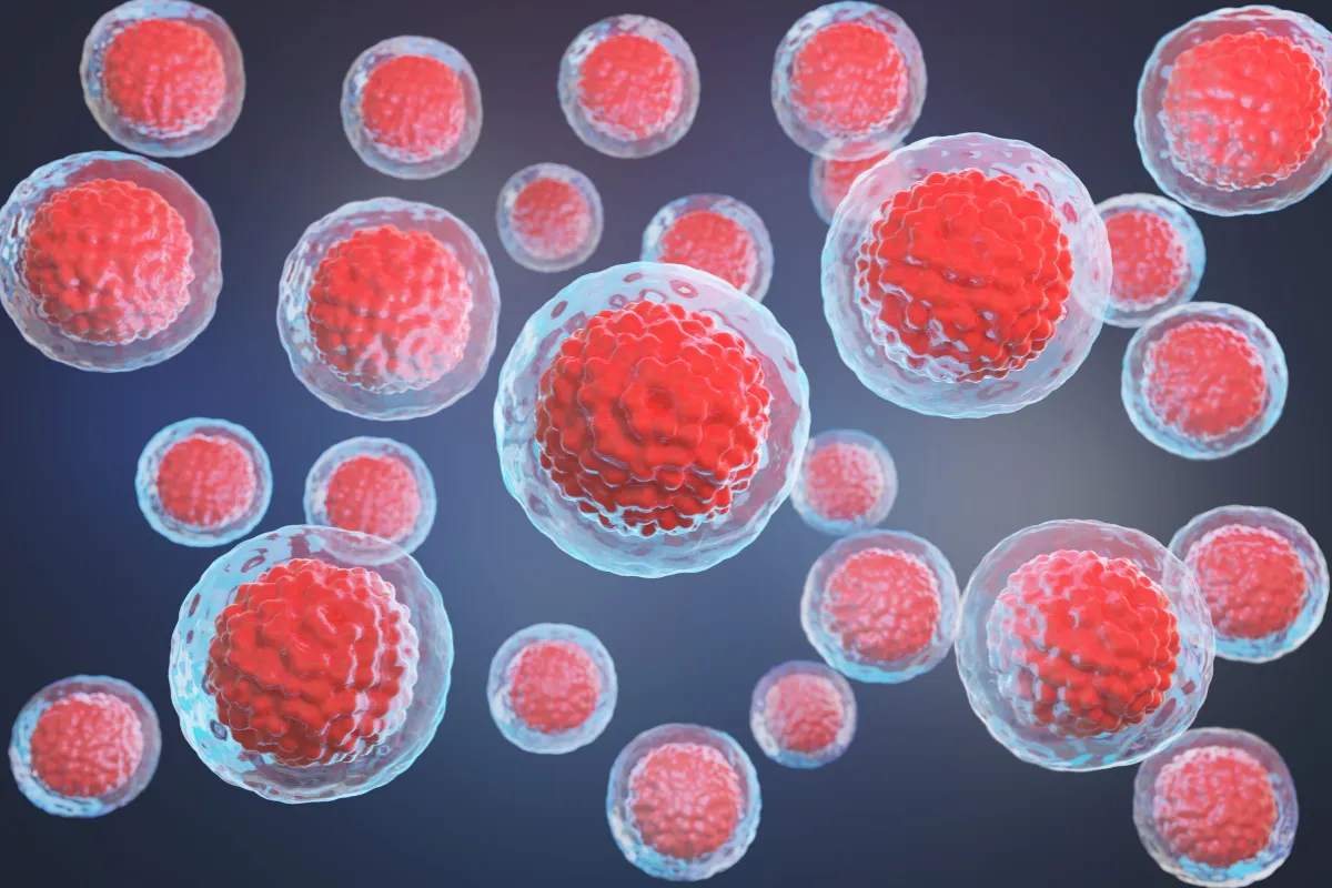 Hematopoietic stem cells and hematopoiesis