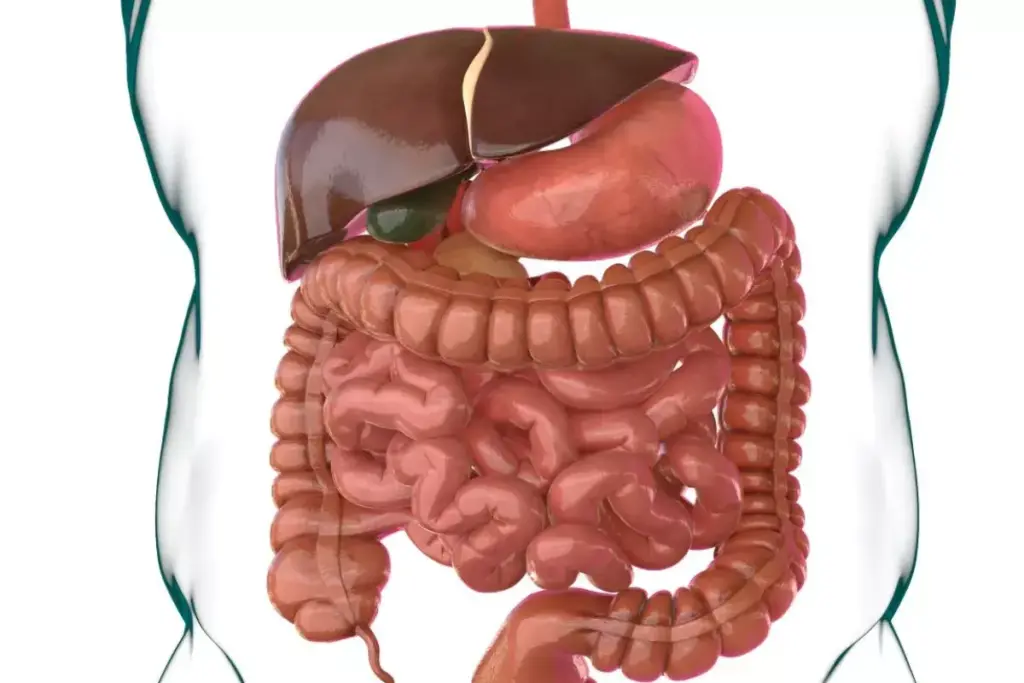 How to Read a Celiac Diagram: A Step-by-Step Guide