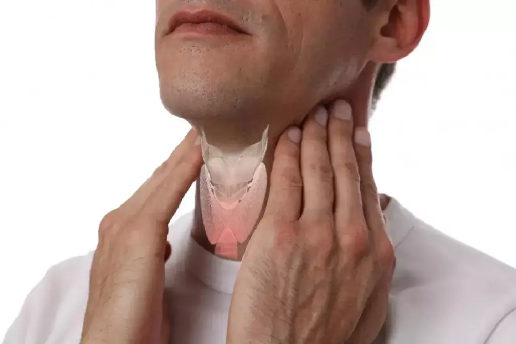 Do Men Have Thyroids? Understanding Thyroid Issues in Males
