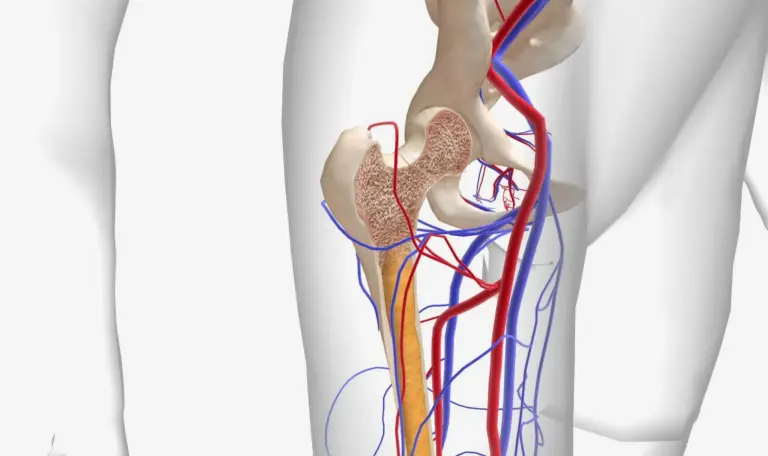 Multiple Myeloma: Symptoms Of Marrow Cancer