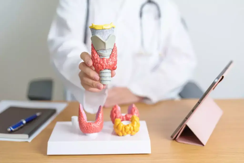 Is Hashimoto's Disease Hypo or Hyperthyroidism? 3 Is Hashimoto's Disease Hypo or Hyperthyroidism?