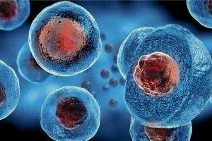 Autologous Vs Allogeneic: The Ultimate Choice