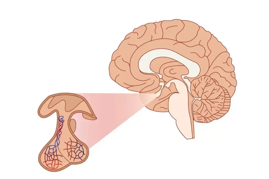 8 Signs of Pituitary Gland Problems You Shouldn't Ignore