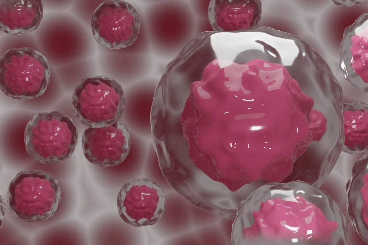 The Ultimate Guide - Is Stem Cell Therapy Safe for You