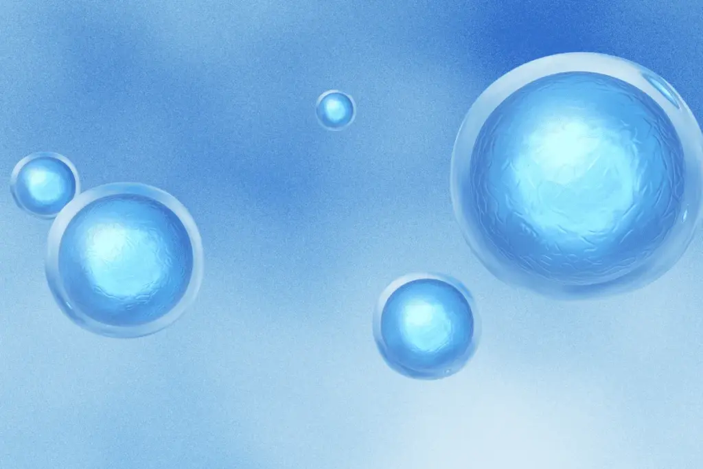 Stem Cell Activators: Do They Really Work?