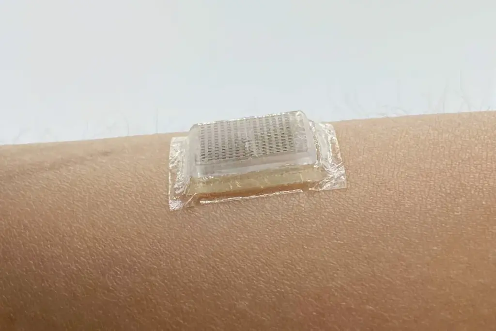 Stem Cell Patches: Amazing Benefits For Healing