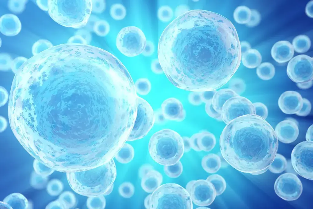 Autologous Vs Allogeneic: Top Therapy Challenges