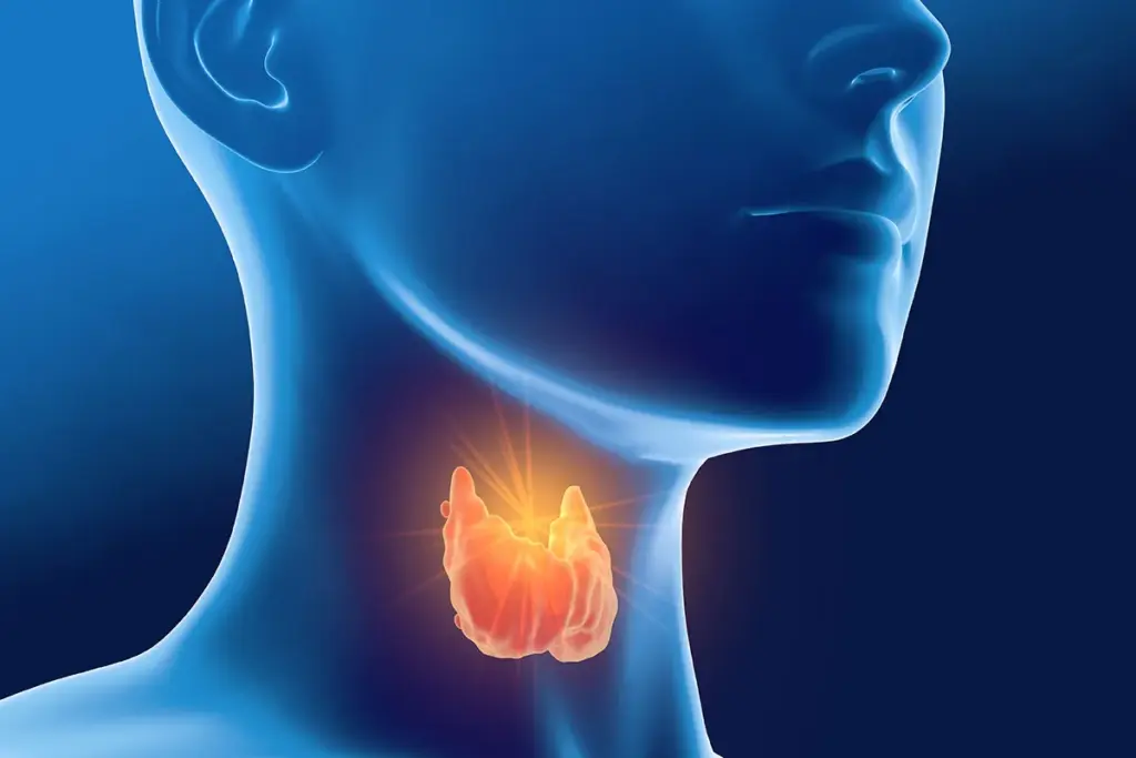 How to Test for Graves' Disease: Blood Work Guide