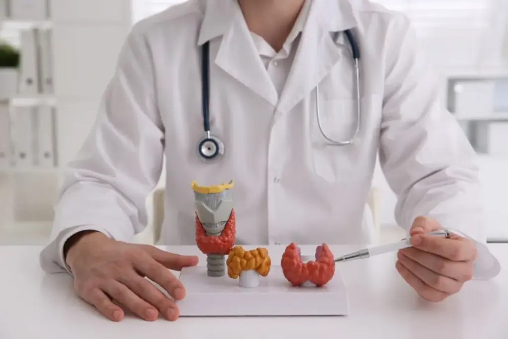 7 Key Differences Between Hypothyroid vs Hyperthyroid Symptoms 1 7 Key Differences Between Hypothyroid vs Hyperthyroid Symptoms