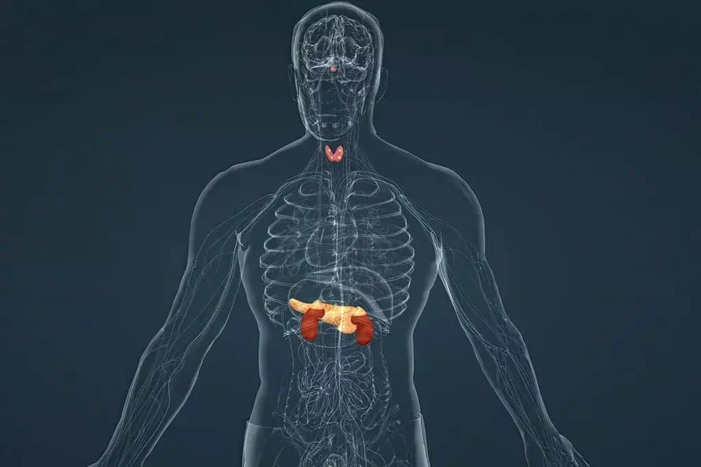How Common is Hypothyroidism and What Age Does It Start? 2 image 1227 LIV Hospital