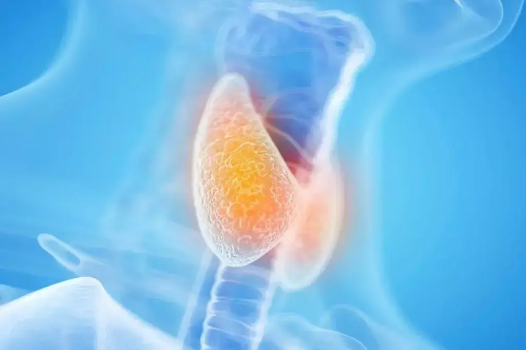 image 1292 LIV Hospital