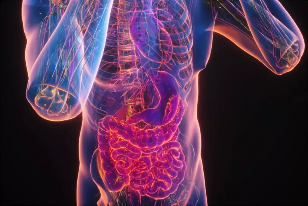 image 1357 LIV Hospital