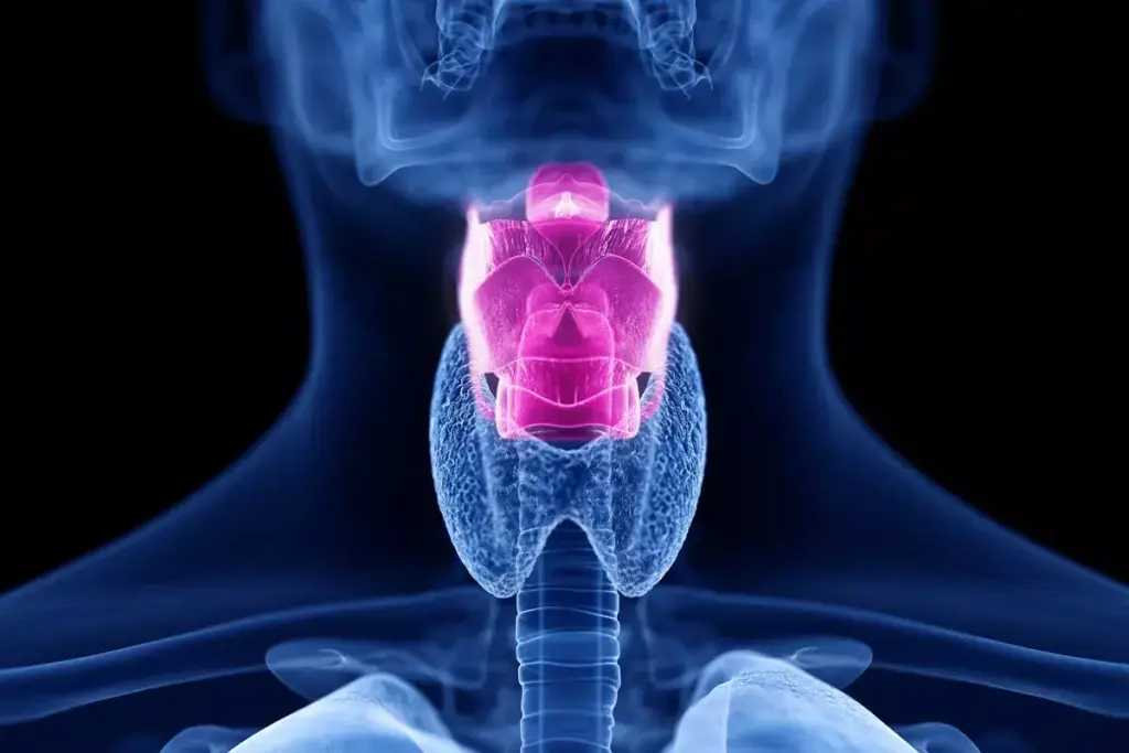 image 1374 LIV Hospital