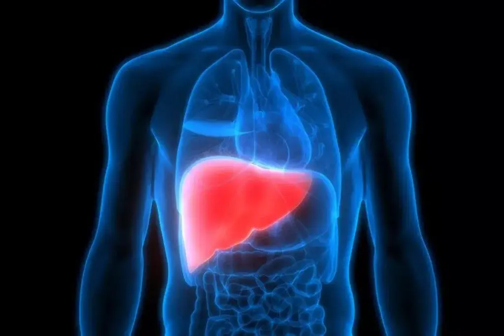 What Causes Hereditary Liver Disease and Is It Genetic? 2 What Causes Hereditary Liver Disease and Is It Genetic?