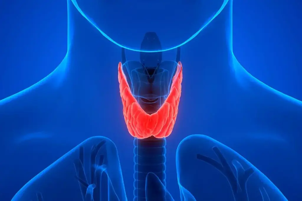 What Is Free T4 in Blood Work and Why Does It Matter? 3 What Is Free T4 in Blood Work and Why Does It Matter?