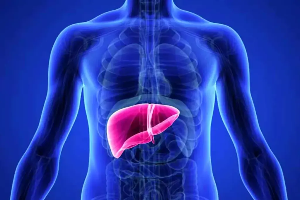 How to Check Liver Toxins Using LivaTox Database