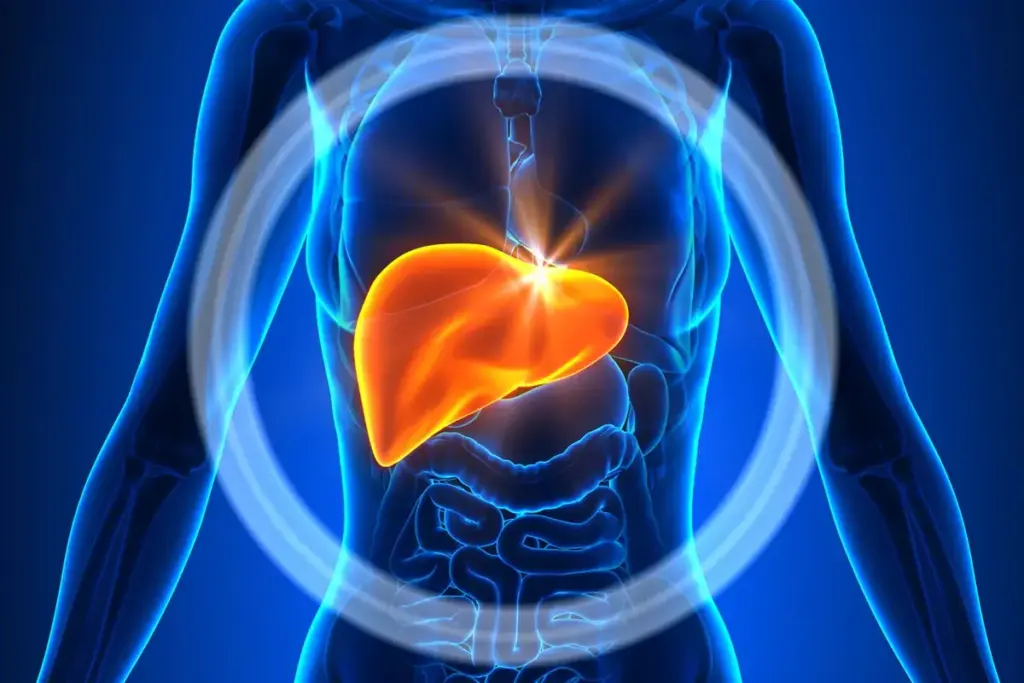 How to Check Liver Toxins Using LivaTox Database