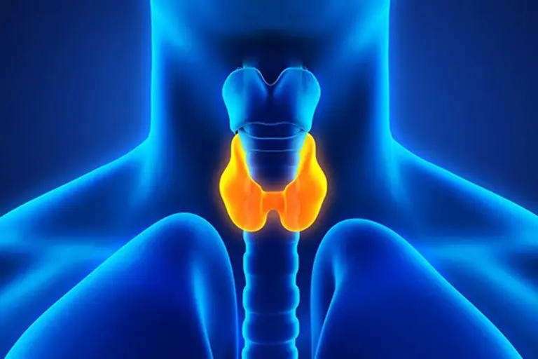 3 Types of Hypothyroidism: Primary, Secondary & Tertiary