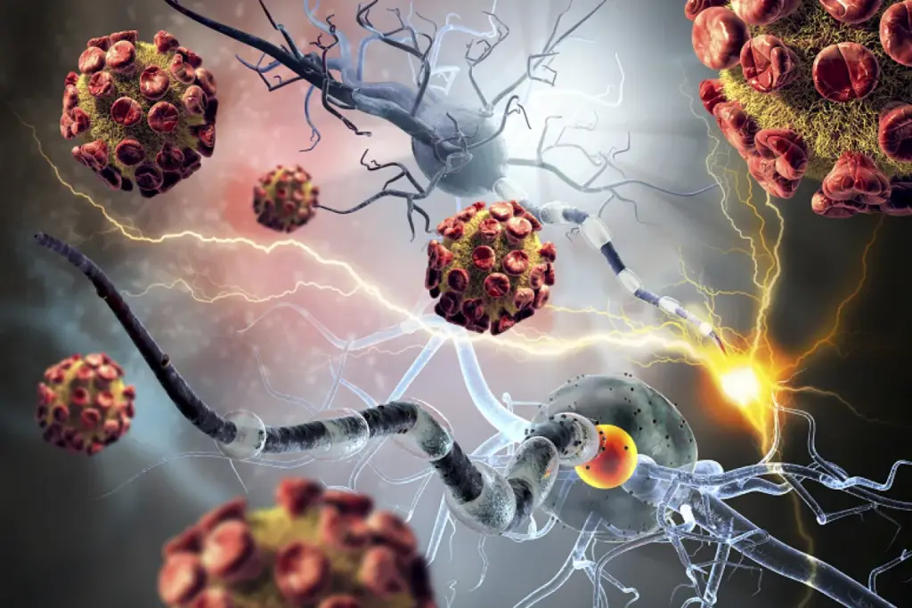 What Are Autoimmune Blood Disorders and How Do They Affect Adults? 1 What Are Autoimmune Blood Disorders and How Do They Affect Adults?