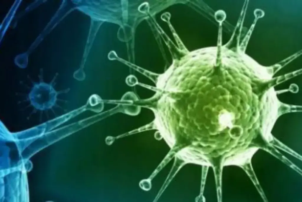 What Are the Current Virus Symptoms Going Around Now?