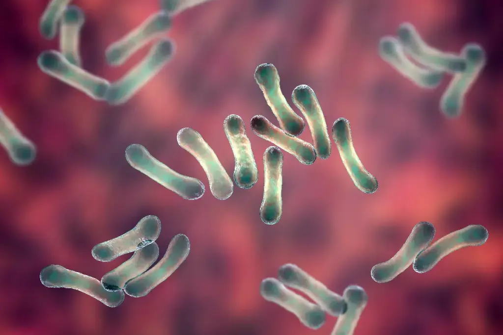 How to Prevent Diphtheria: Complete Guide