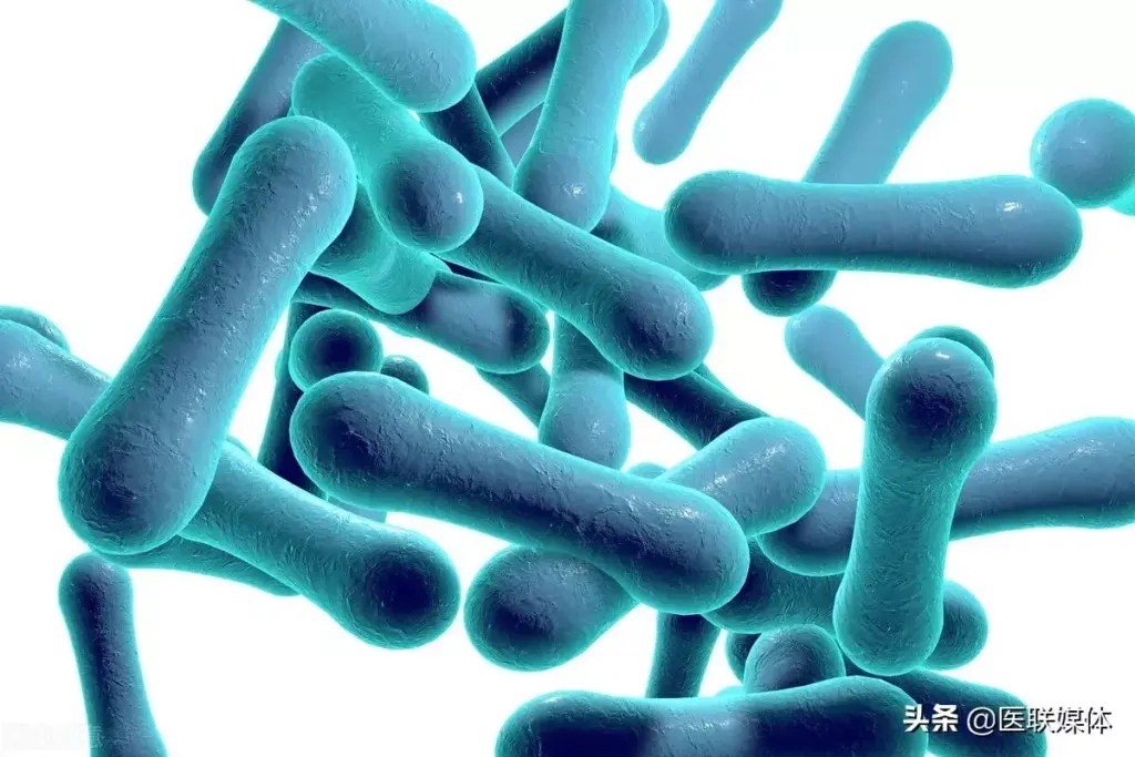 How to Treat Diphtheria: Antibiotics & Care Guide