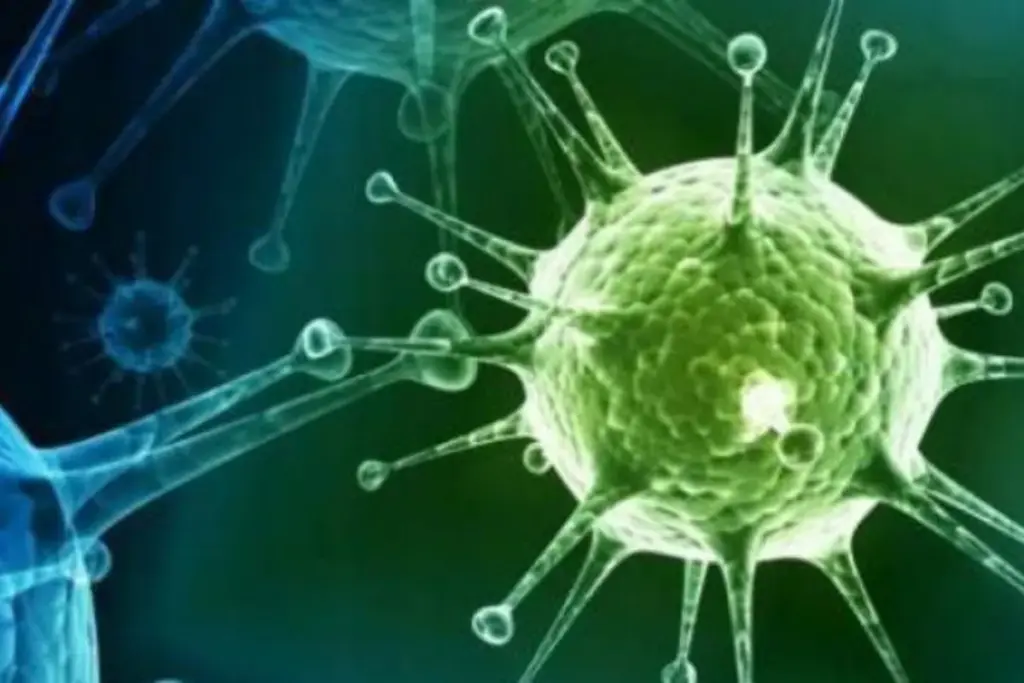 What Are the Current Virus Symptoms Going Around Now?