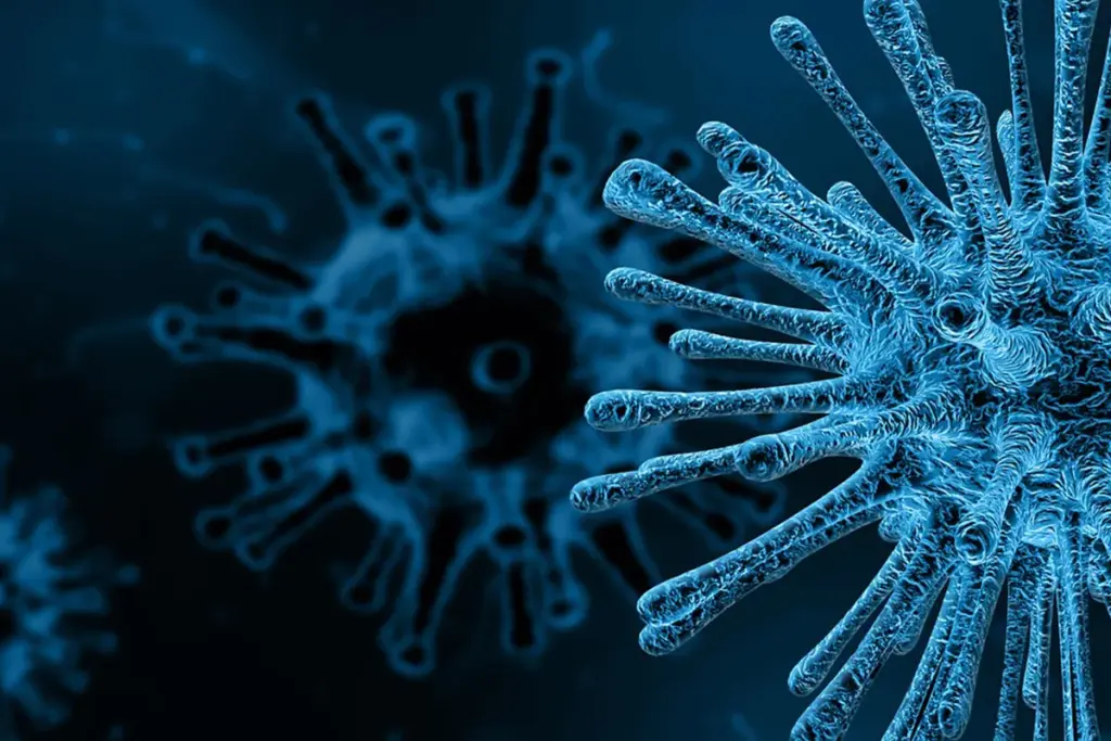 What Is Long COVID and How Many Times Can You Get It?