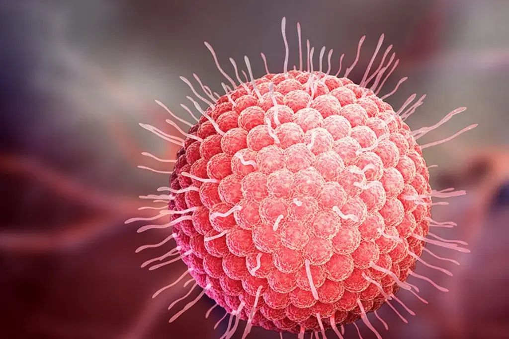 What is Chickenpox Pathophysiology and How Does Varicella Zoster Virus Spread? 1 What is Chickenpox Pathophysiology and How Does Varicella Zoster Virus Spread?