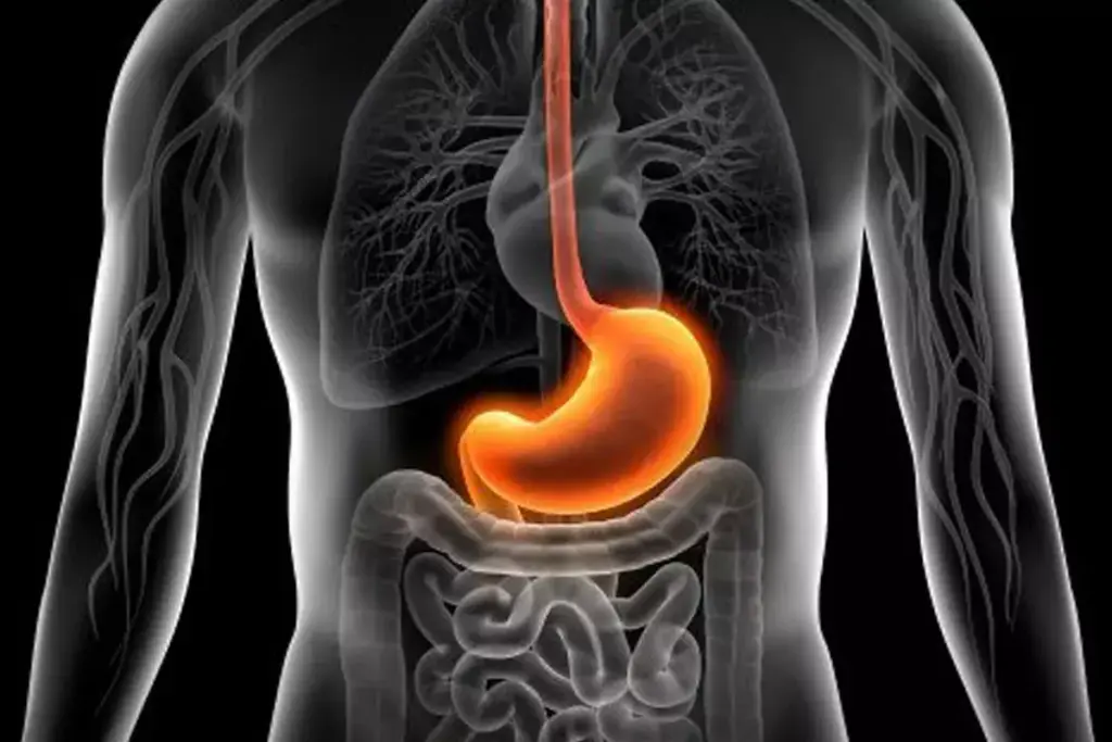 image 2533 LIV Hospital