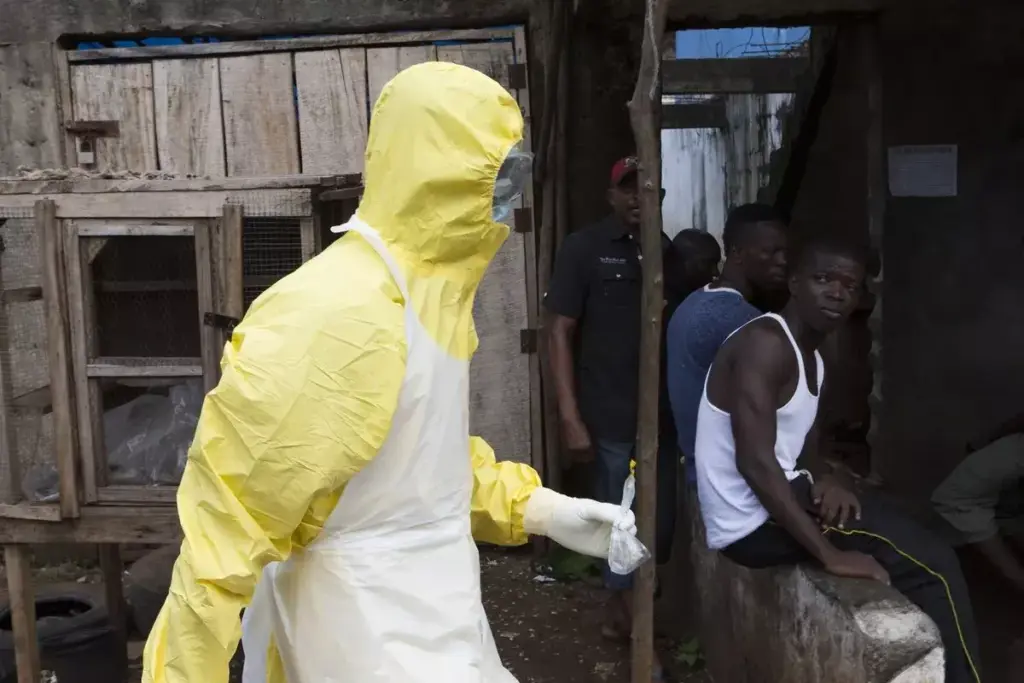 image 2551 LIV Hospital