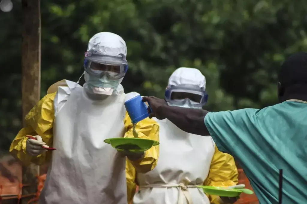 image 2554 LIV Hospital