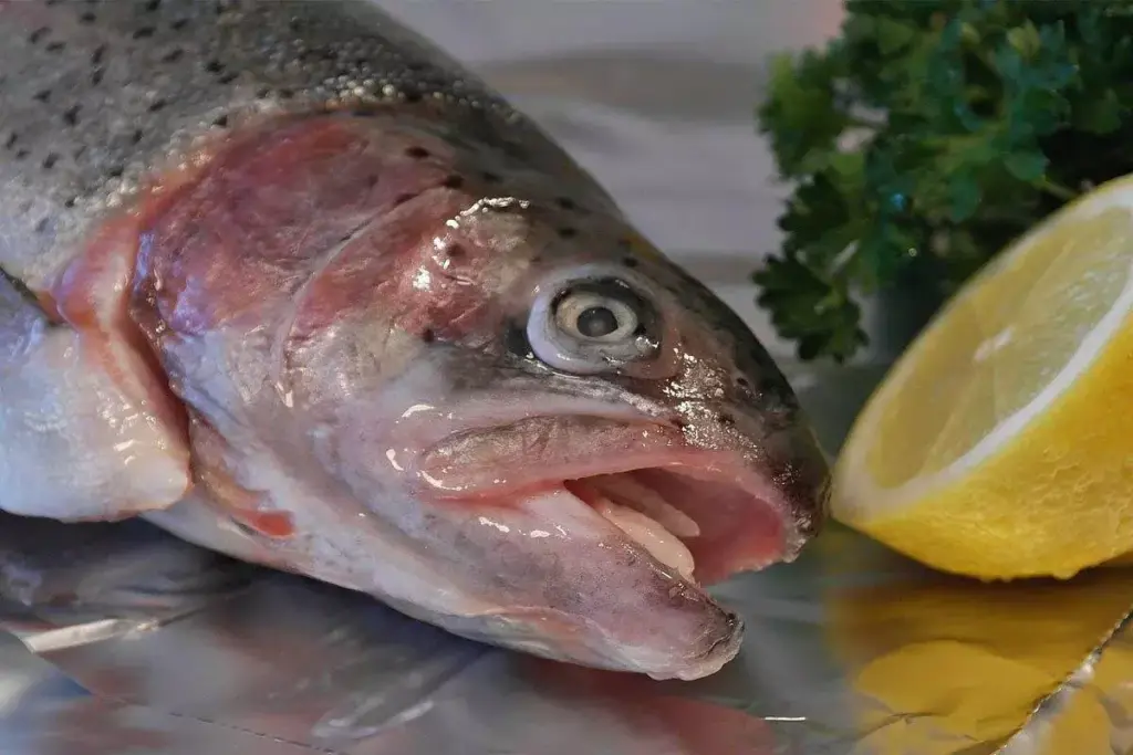 What Happens If You Eat Spoiled Salmon or Tuna Fish?