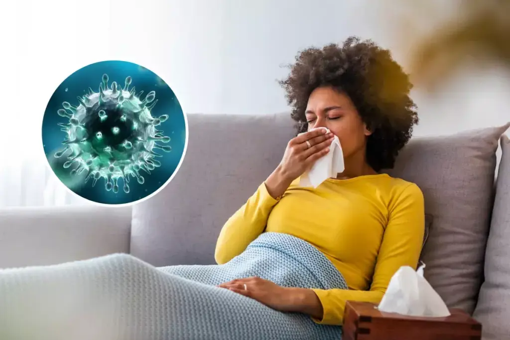 4 Types of Influenza Viruses in Humans Explained 2 4 Types of Influenza Viruses in Humans Explained
