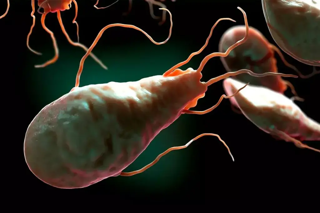 21 Signs You Have Parasites: Symptoms to Watch For