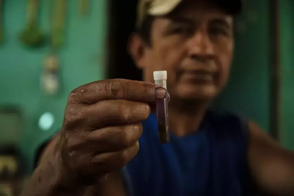 How Long Does Ivermectin Take to Kill Parasites?