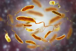 7 Key Symptoms of Vibrio Cholerae: Rice Water Stools and More