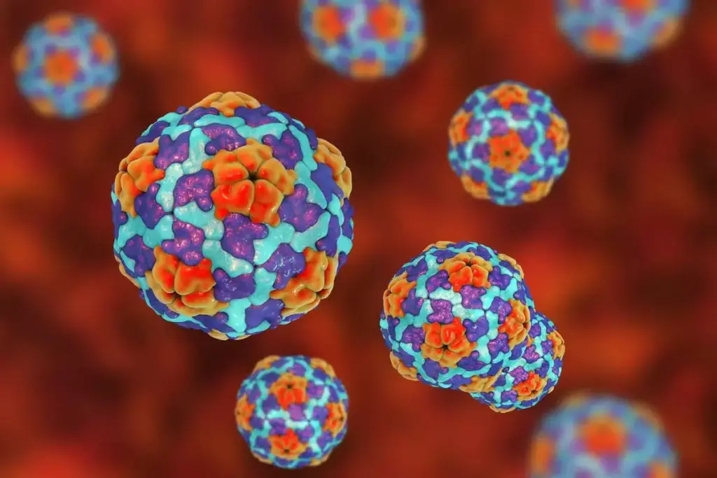 Can You Get Hepatitis A From Saliva or Kissing? 3 Can You Get Hepatitis A From Saliva or Kissing?