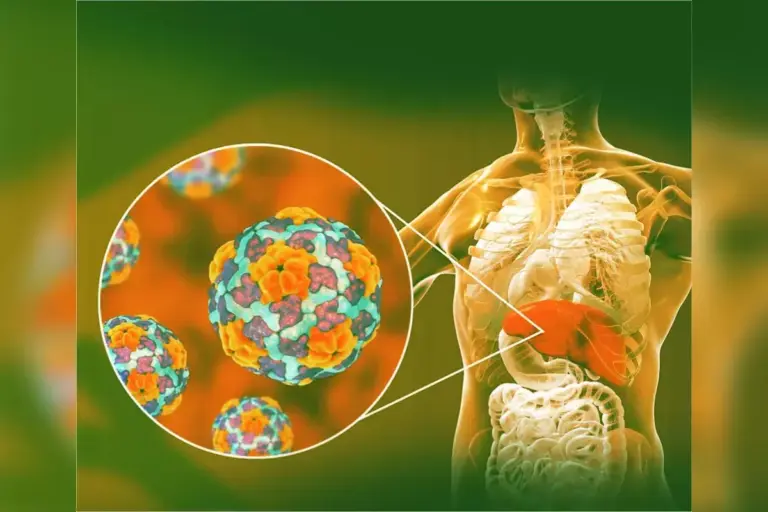 What Does Hepatitis A AB Reactive Mean: A Complete Guide