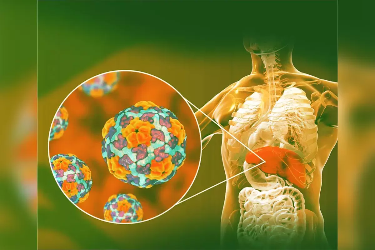 What Does Hepatitis A AB Reactive Mean: A Complete Guide