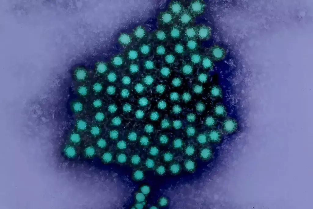 What Does Hepatitis A AB Reactive Mean: A Complete Guide