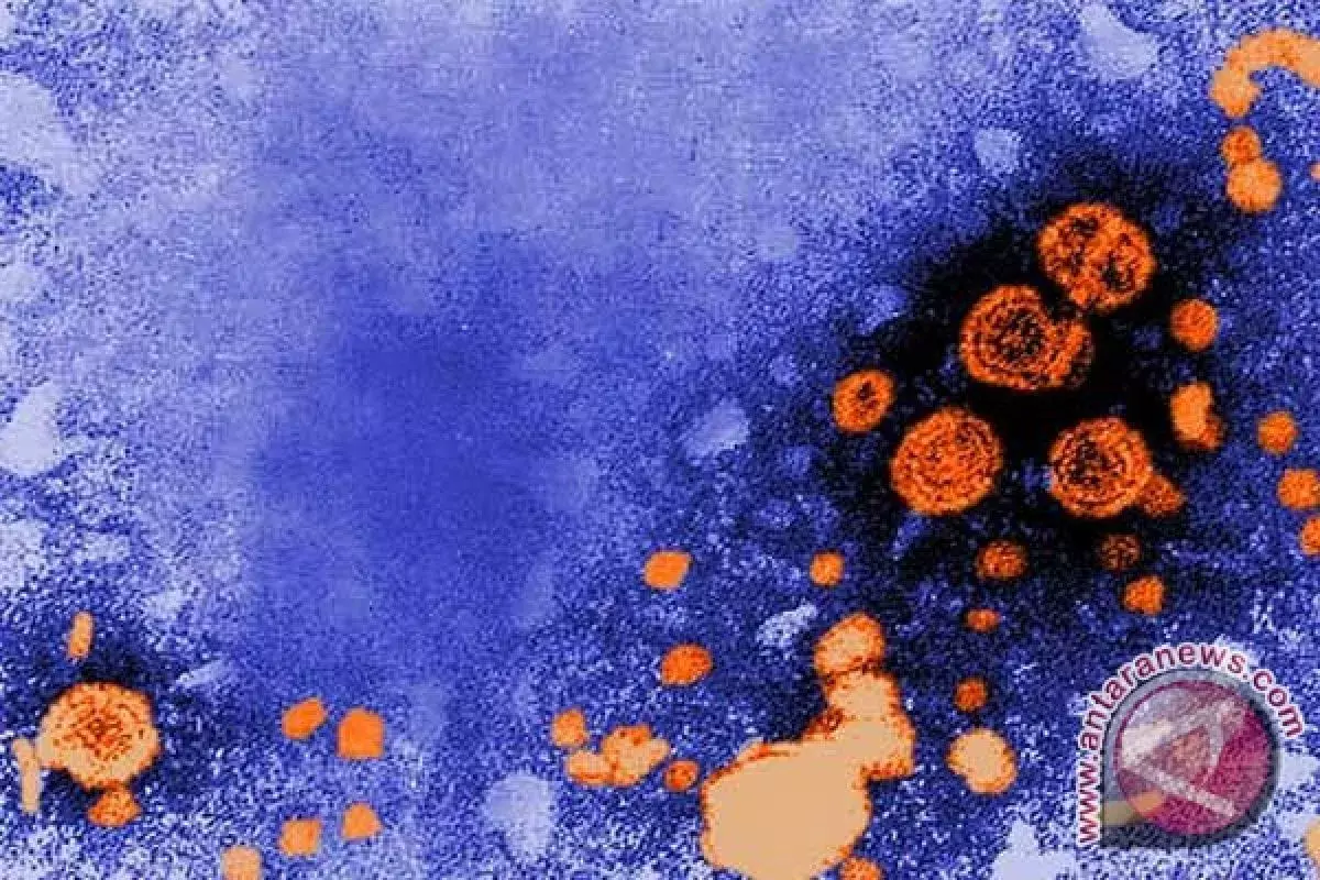 How Is Hepatitis B and C Transmitted: Causes and Prevention?