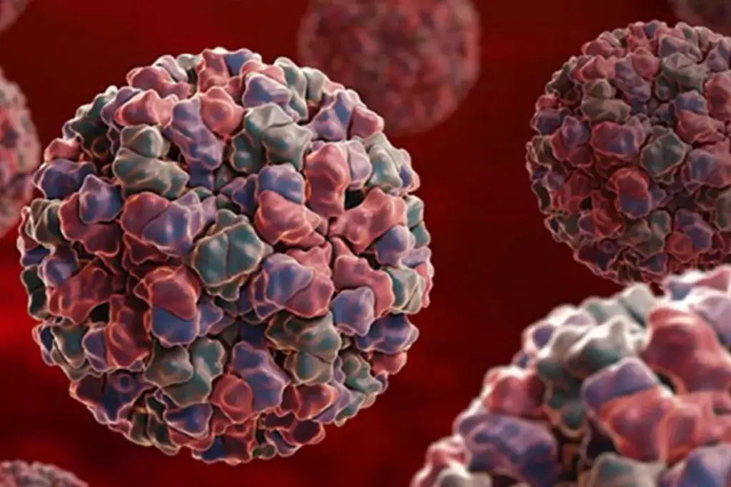 7 Best Over the Counter Medicines for Stomach Flu Relief 3 image 2988 LIV Hospital