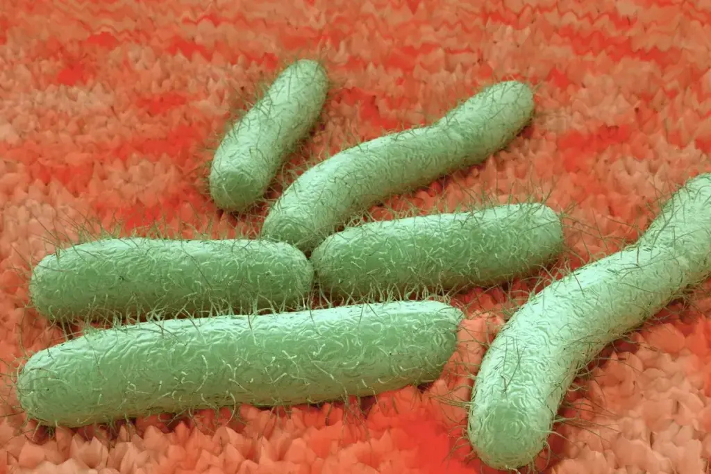 image 3008 LIV Hospital