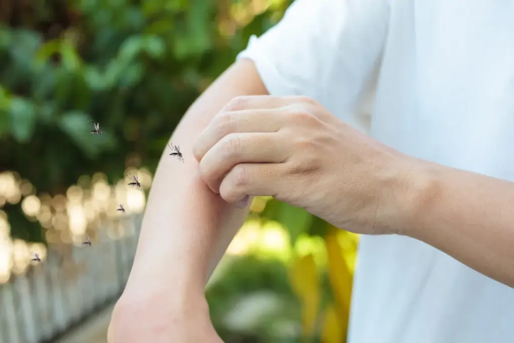 How to Heal Mosquito Bites Fast: 7 Relief Methods