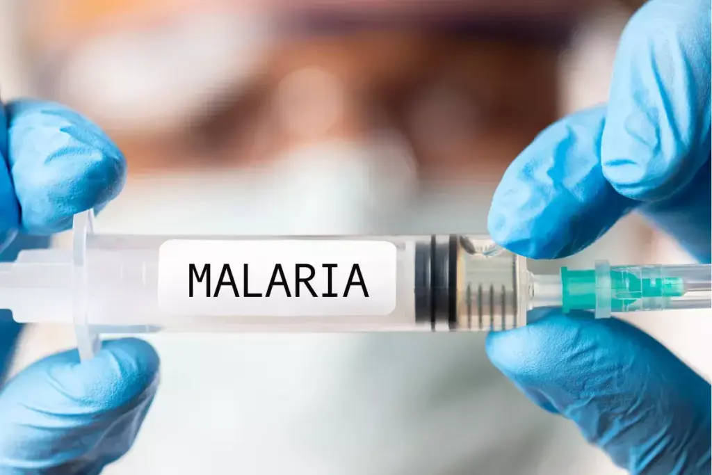 image 3263 LIV Hospital